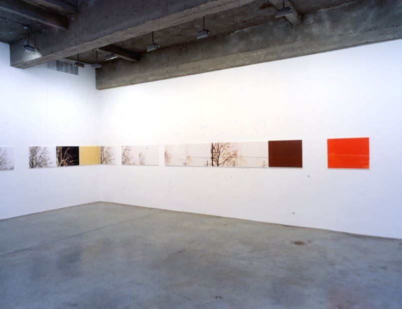 Uta Barth: Tanya Bonakdar Gallery, New York