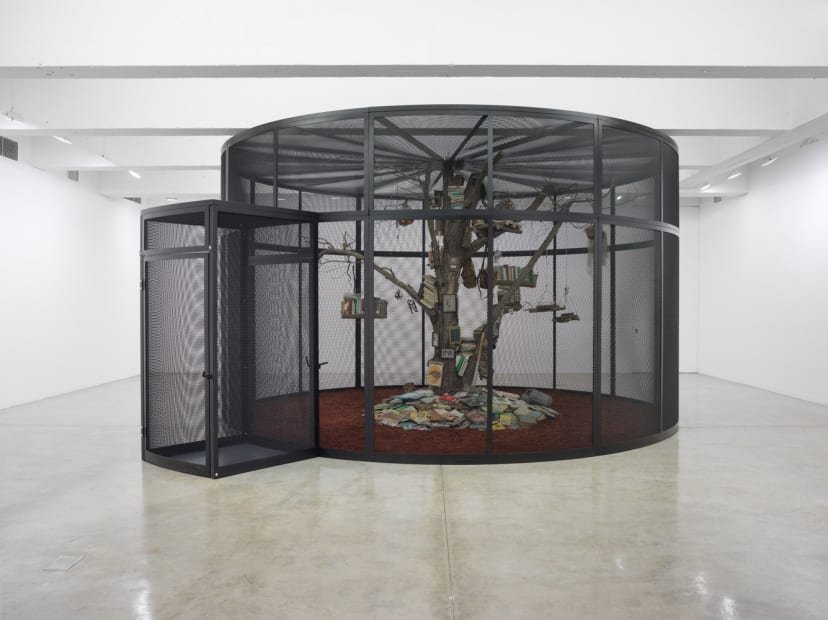 MARK DION: THE LIBRARY FOR THE BIRDS OF NEW YORK AND OTHER MARVELS: Tanya Bonakdar Gallery, New York