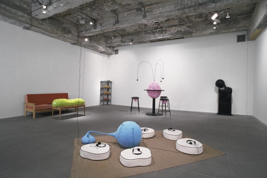 CHARLES LONG AND STEREOLAB: THE AMORPHOUS BODY STUDY CENTER: Tanya Bonakdar Gallery, New York