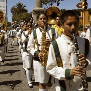 Stevie and the Weeblies