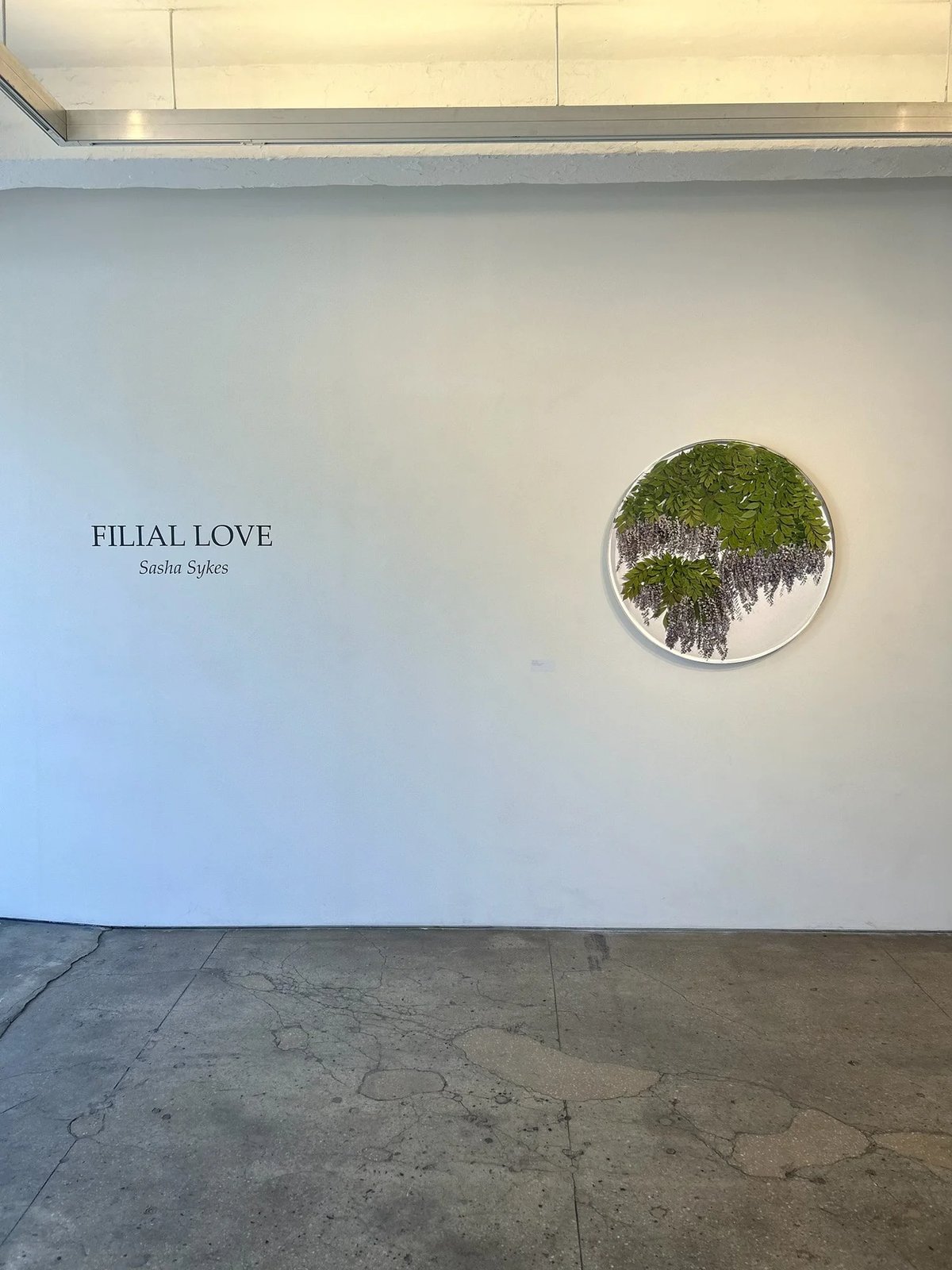 Sasha Sykes | Filial Love — Voltz Clarke Gallery