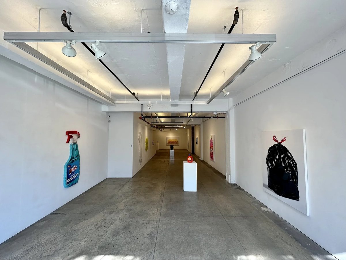 Gemma Gené | CLEAN — Voltz Clarke Gallery