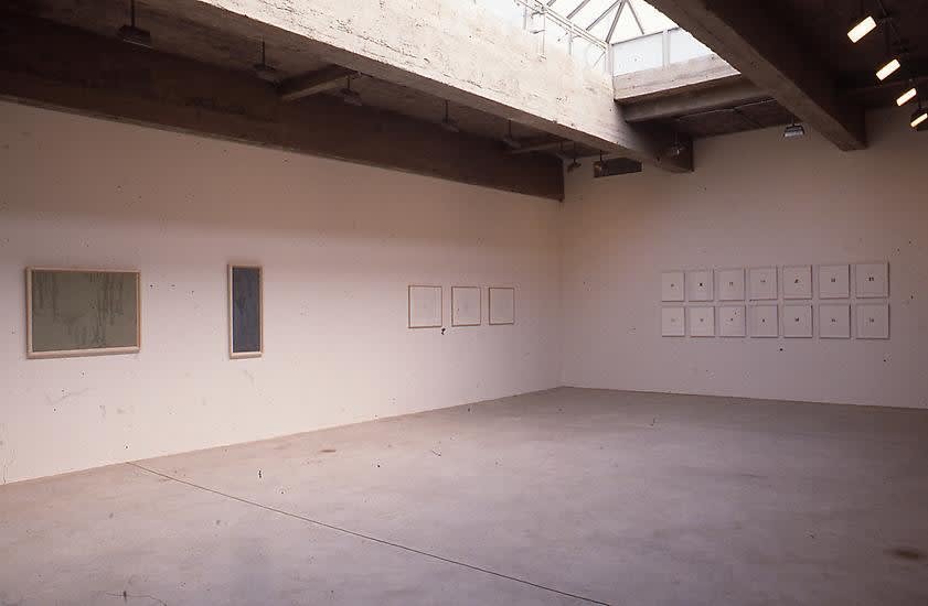 DRAWINGS: Tanya Bonakdar Gallery, New York