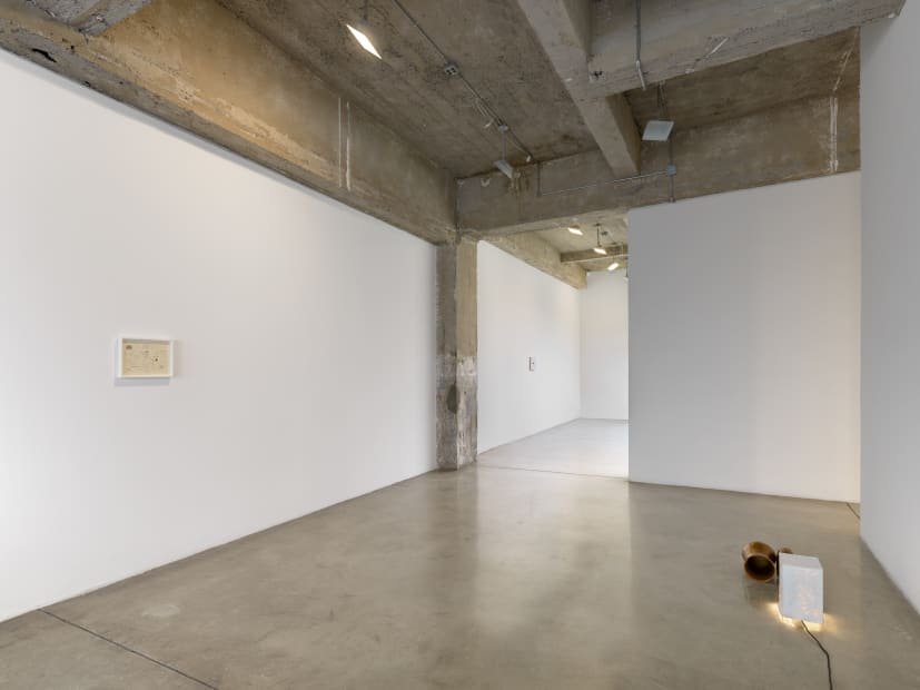 Rodrigo Hernández: What else did I see?: Tanya Bonakdar Gallery, New York