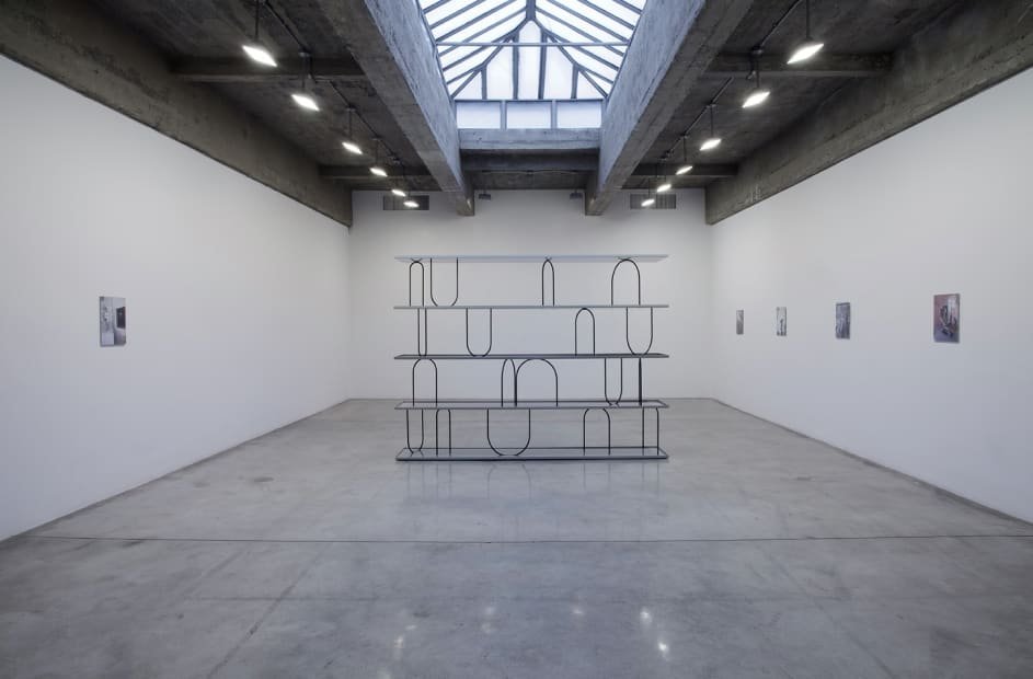 NICOLE WERMERS: SPRAY: Tanya Bonakdar Gallery, New York